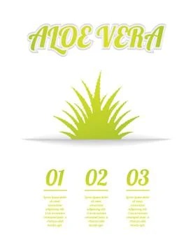 Aloe vera background Stock Illustration