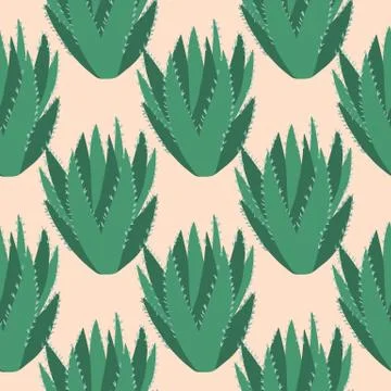 Aloe vera cactus seamless pattern. Cacti exotic wallpaper. Stock Illustration