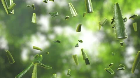 Aloe vera falling Stock Footage 22099790