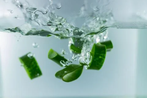 Aloe Vera falls into the water Stock Photos