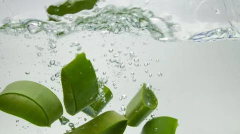 Aloe vera falls in the water. Stock Photos