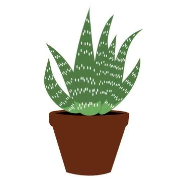 Aloe vera flat. Isolated vector illustration Stock Illustration
