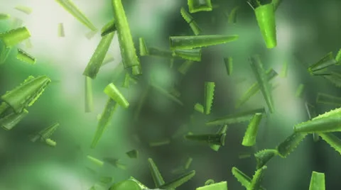 Aloe vera fly through Stock Footage 24362359