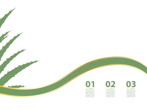 Aloe Vera flyer Stock Illustration