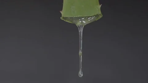 Aloe vera Stock Footage 78208021