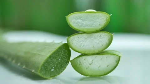 Aloe vera Stock Footage 139747576