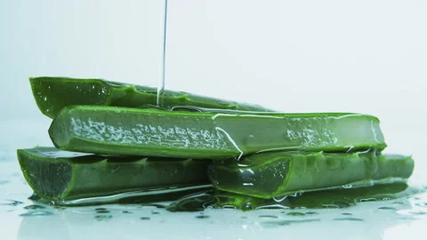 Aloe vera Stock Footage 153745335