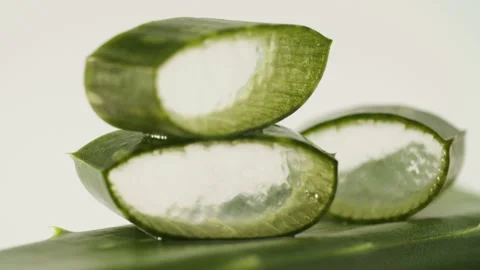 Aloe vera Stock Footage 156196976