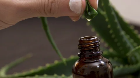 An aloe vera gel drops falling into glass brown battle from plants leaf. Natu Видео 124471089