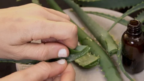 An aloe vera gel drops falling into glass brown battle from plants leaf. Natu 스톡 동영상 124471141
