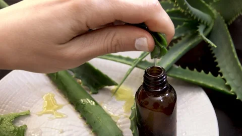 An aloe vera gel drops falling into glass brown battle from plants leaf. Natu Видео 124471373