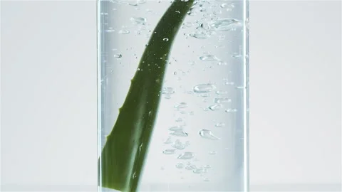 Aloe vera into glass flask with water. Natural cosmetics. Stock Footage 149872053