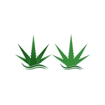 Aloe vera graphic design template isolated 스톡 일러스트