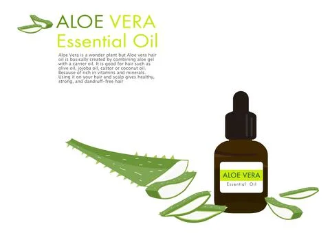 Aloe vera herb vector isolated on white background ep02 Stock Illustration