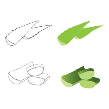 Aloe vera icon design Stock Illustration