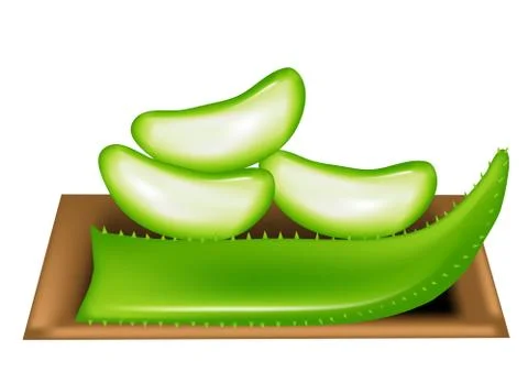Aloe vera Stock Illustration