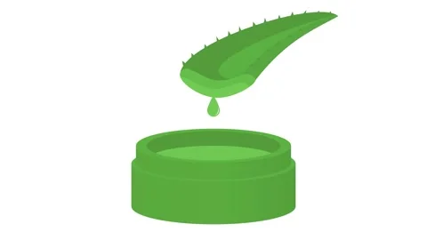 Aloe Vera Leaf with Gel Dropping Stock Footage 318196695