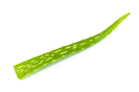 Aloe vera leaf . Stock Photos