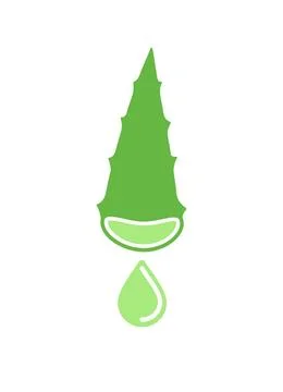 Aloe vera leaf section with fresh drop of aloe juice. Flat vector color ill.. Stock Illustration