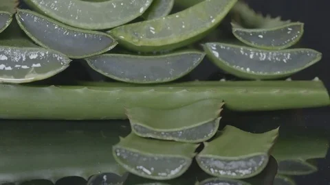 Aloe vera log Stock Footage 78204280