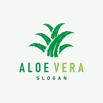 Aloe Vera Logo Design Simple Illustration Health Herbal Plant Grass Stock Illustration
