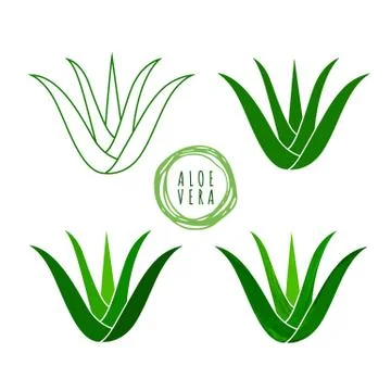 Aloe vera logo vector illustration on white background Stock Illustration