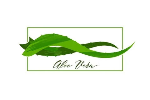 Aloe vera logo vector illustration on white background Stock Illustration