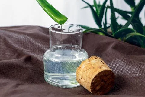 An Aloe Vera lotion Foto stock