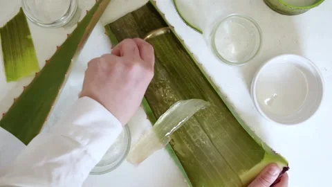 Aloe Vera Making  Cosmetics, Drinks and Food Stock-Footage 264338991