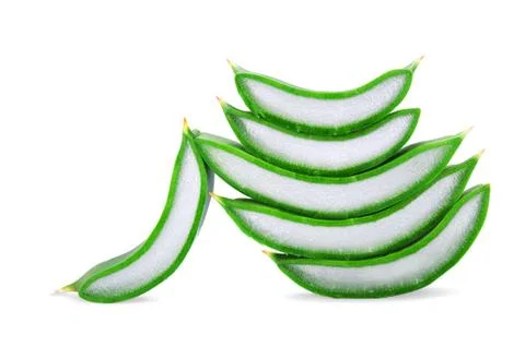 Aloe vera Stock-Fotos