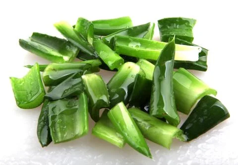 Aloe vera Stock Photos