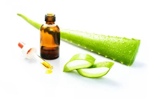 Aloe vera 写真素材