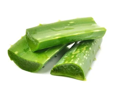 Aloe vera Stock Photos