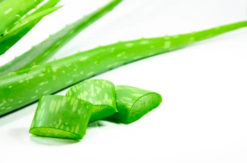 Aloe Vera Stock Photos