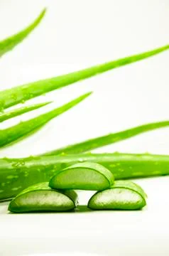 Aloe Vera Stock Photos