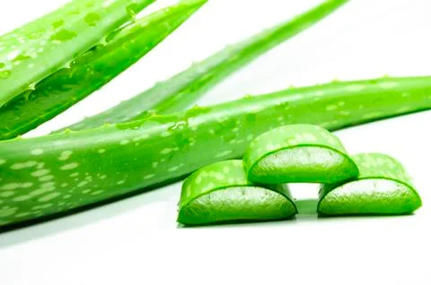 Aloe vera Stock Photos