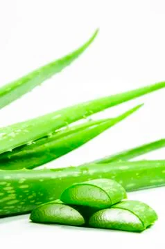 Aloe vera Stock Photos