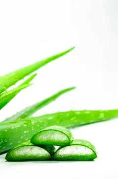 Aloe vera Stock Photos