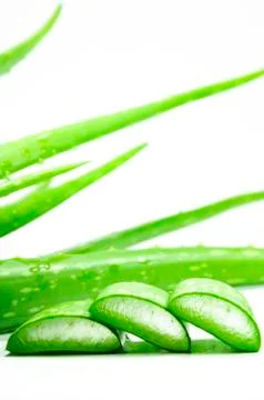 Aloe vera Stock Photos