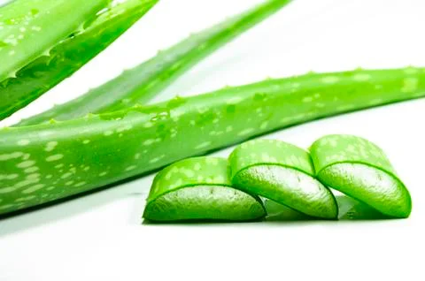 Aloe vera Stock Photos