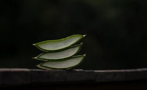 Aloe vera Stock Photos