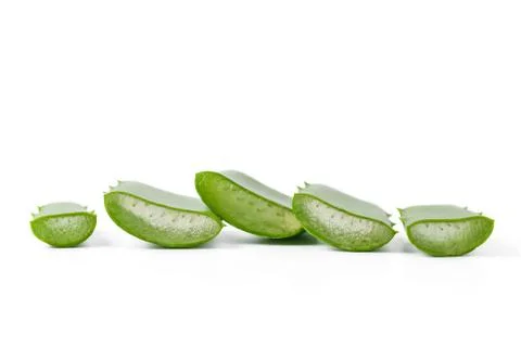 Aloe vera Foto stock