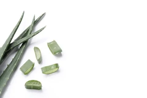 Aloe vera Stock Photos