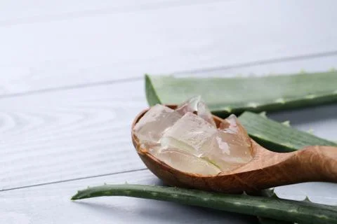 Aloe vera Stock Photos