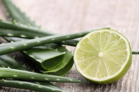 Aloe vera Stock Photos