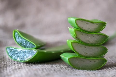 Aloe vera Stock Photos