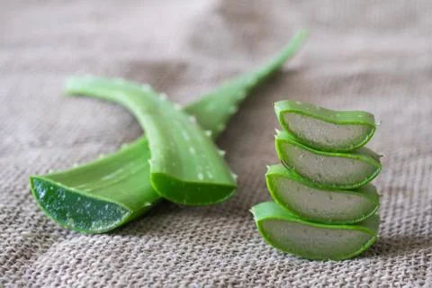 Aloe vera Stock Photos