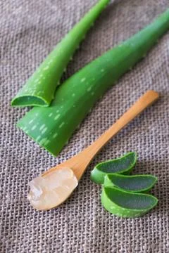 Aloe vera Stock Photos