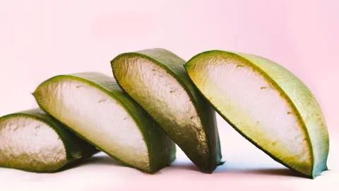 Aloe Vera Stock Photos