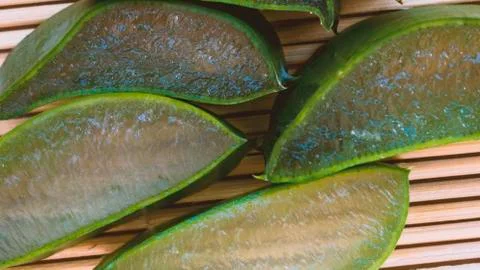 Aloe Vera. Stock Photos